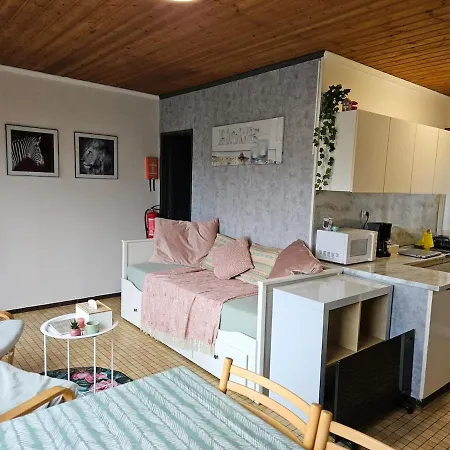 Nawal's Belle Vue Dinant Givet 샬레 *