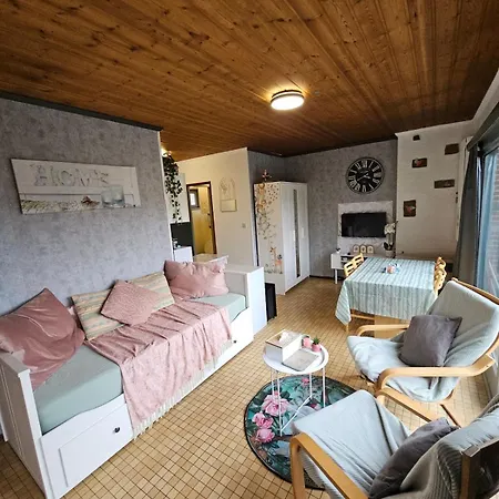 Nawal's Belle Vue Dinant Givet * Waulsort