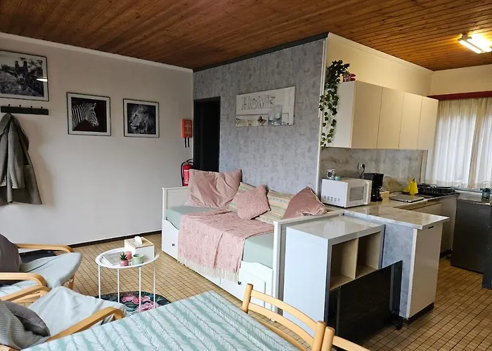 Nawal's Belle Vue Dinant Givet Chalet *