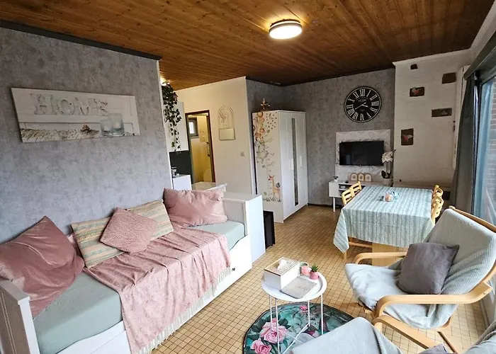 Nawal's Belle Vue Dinant Givet * Waulsort