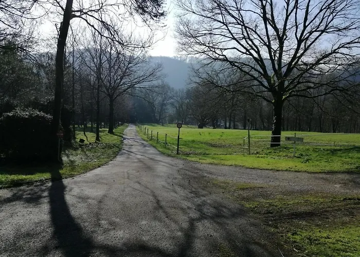 Nawal's Belle Vue Dinant Givet Waulsort